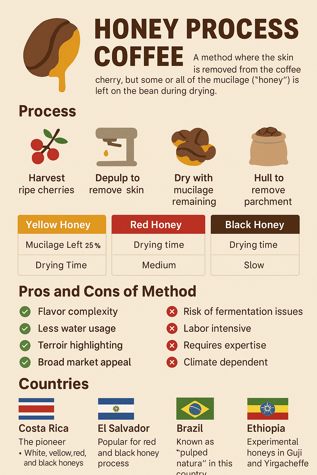 Honey Process coffee